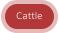 Cattle