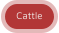 Cattle